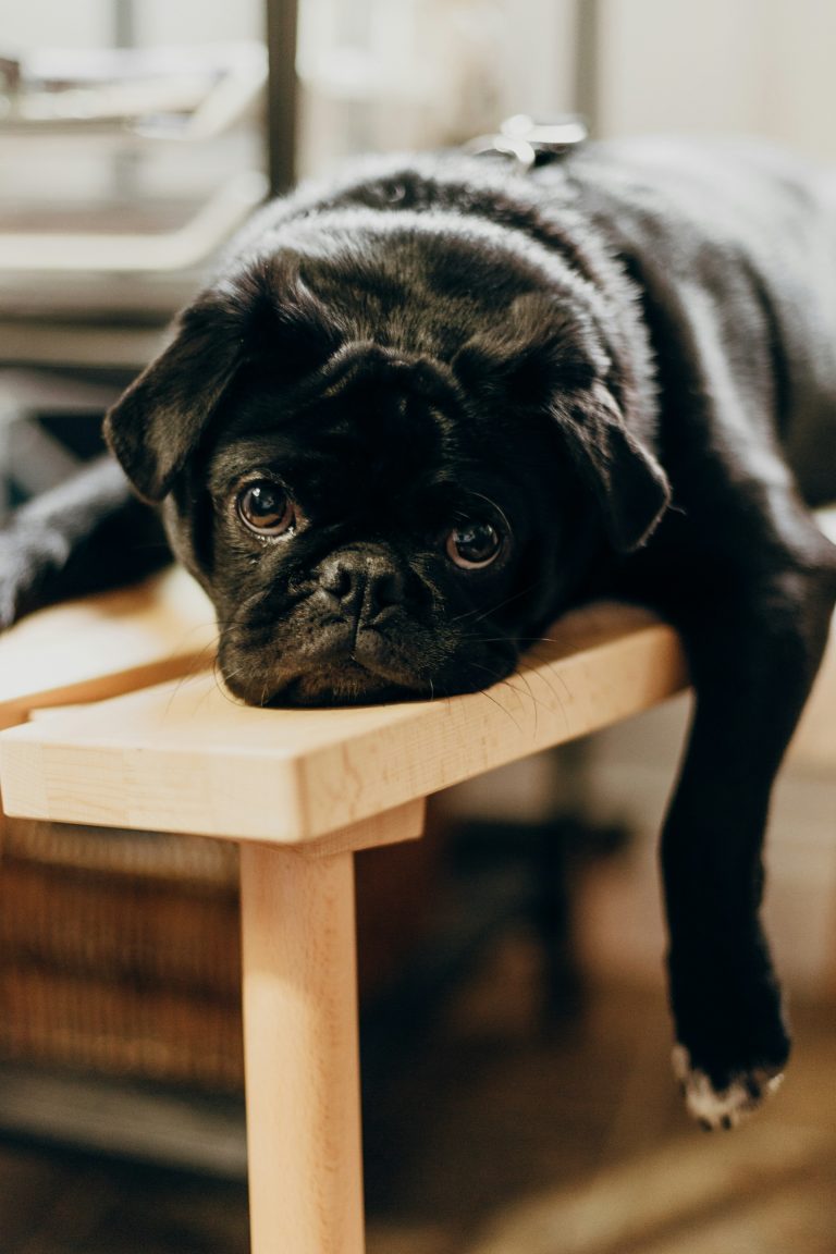 Photo by Priscilla Du Preez 🇨🇦 on Unsplash